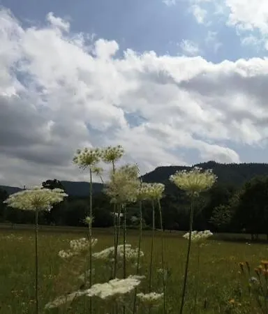 Przy Zalewie